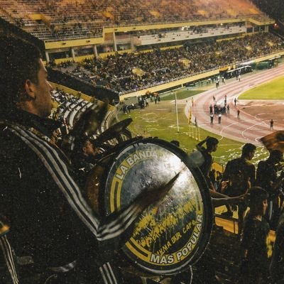 𝙅avier 𝙍oa's profile picture
