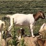 Margie Hendricks's profile picture