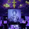 Фото профиля 🍀 💜🧚‍♂️ I miss Prince 🍀 💜🧚‍♂️