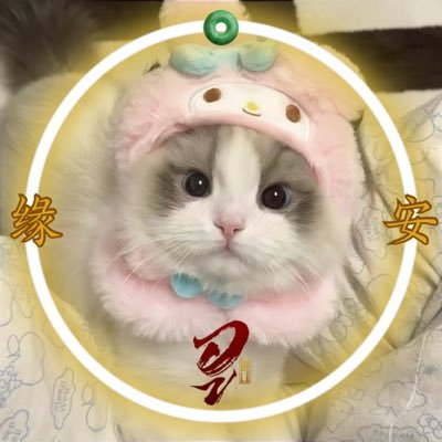 m♡ྀི's profile picture