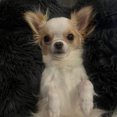 성우 임채빈🥳's profile picture