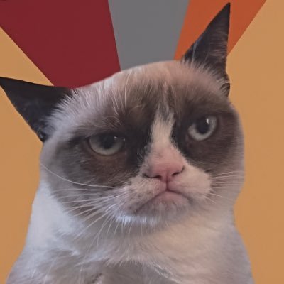 🐟貓咪要罐罐's profile picture