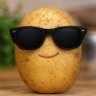 Endrick potato's profile picture