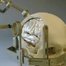Profilbild von The NeuroBotics Lab
