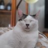 Rubio! profil fotoğrafı