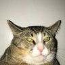 plunk's profile picture