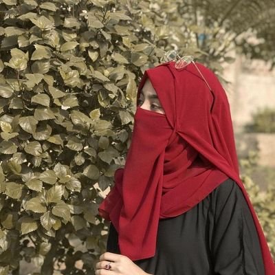 Maailah Noor's profile picture