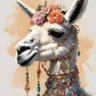 Drama Llama 的头像