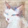 Japan's #1 Critic's profile picture
