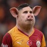 Profilbild von Anti Sallai