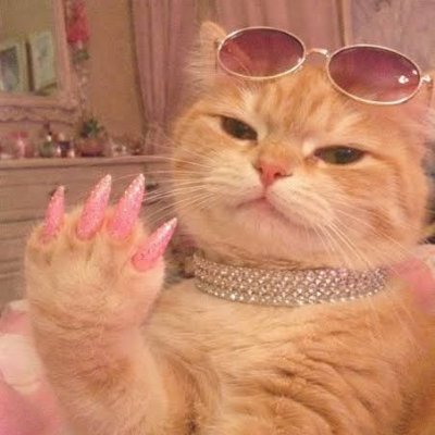 Kashaf's profile picture