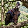 Folorunsho Samuel's profile picture