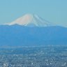 富士山's profile picture