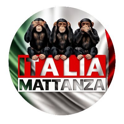 Italia Mattanza's profile picture