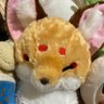 Ruki🐕's profile picture