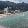 Фото профиля 情報集め