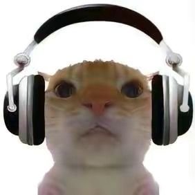 xiaomaolaodi01's profile picture