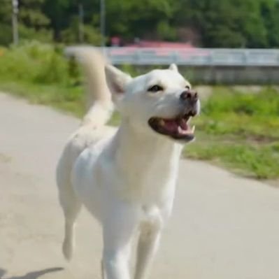 화석's profile picture