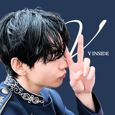 V INSIDE🐯🇰🇷's profile picture