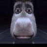 Kaine's profile picture