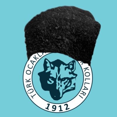 GencTurkOcagi's profile picture