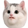 SchmieroWatzlaff's profile picture