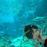 ほの 的头像