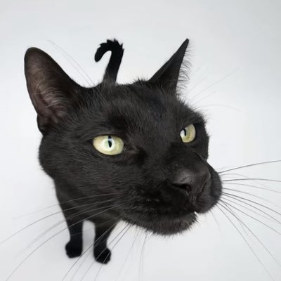 JLhpxci's profile picture