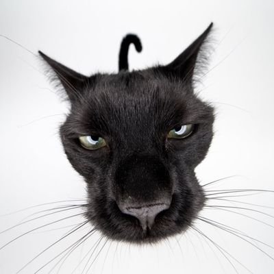 Не позор мене's profile picture