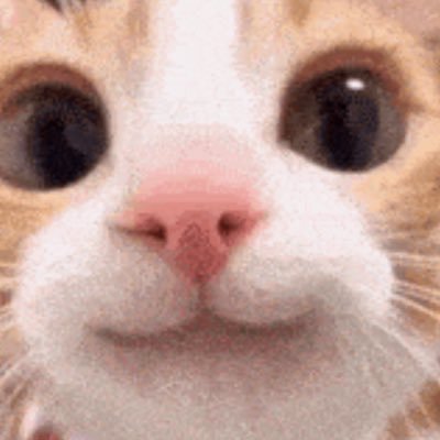 lebawbaw's profile picture