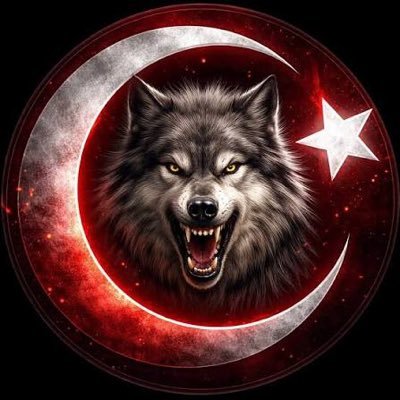 AtakanSonmezats's profile picture