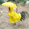 Фото профиля ไก่แดงคอยรัก ft.ป้ารักREDREDมาก