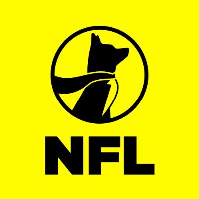 Underdog NFL's profile picture