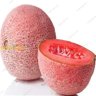 Profilbild von quantaloupe
