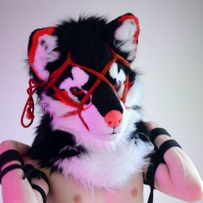 Zaltany AD 🔞's profile picture