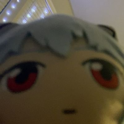 noru's profile picture