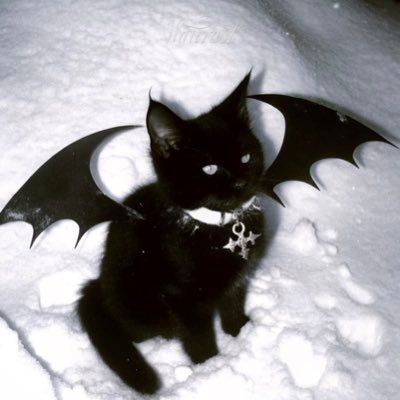 EVANJSIMON0210's profile picture