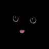 Markus's profile picture