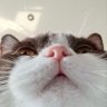 Profilbild von lili