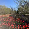 Profilbild von 花束いちご🍓