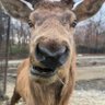 ぬらー's profile picture
