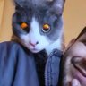 Letto' 💜 profil fotoğrafı