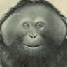 Profilbild von KRunchy KOngg