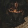 Lilo🪼's profile picture