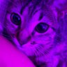 Profilbild von JS