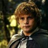 Profilbild von Samwise Gamgee