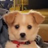 Profilbild von Andie Girl