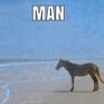 Horsing Daniel's profile picture