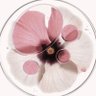 RN's profile picture