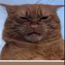 Profilbild von Lalito